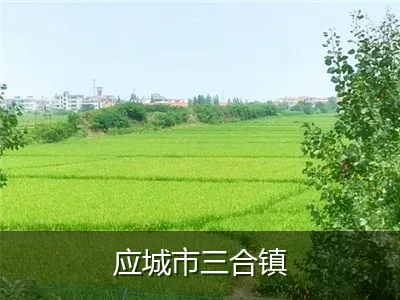 应城市三合镇