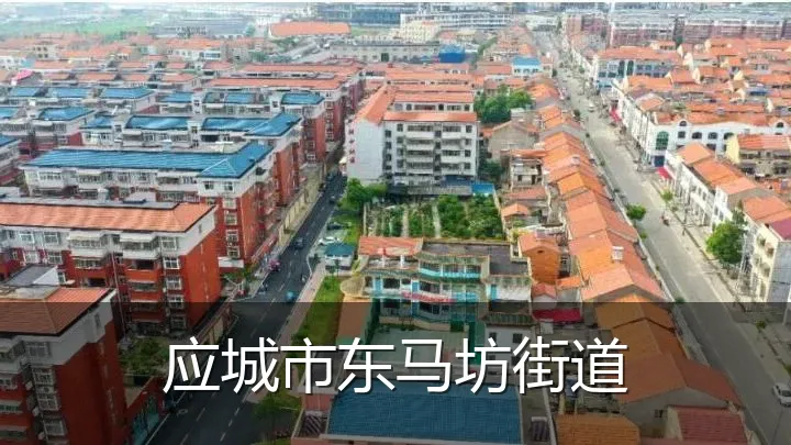 应城市东马坊街道