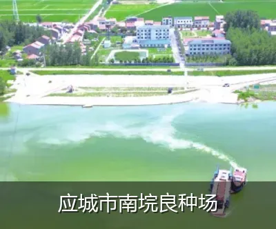 应城市南垸良种场