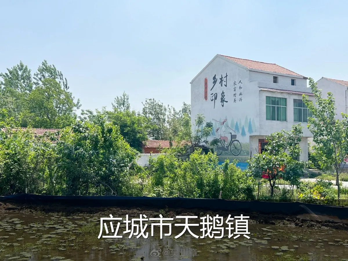 应城市天鹅镇