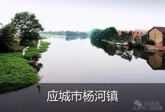 应城市杨河镇