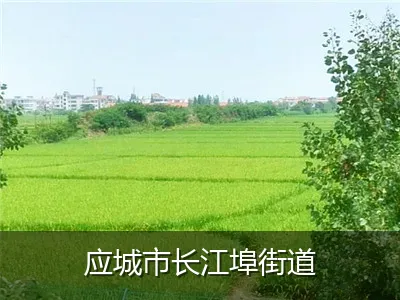 应城市长江埠街道